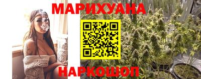 крисы Тверь