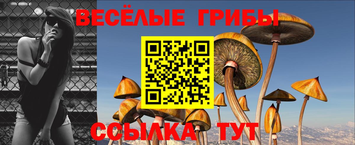 Псилоцибиновые грибы мицелий  Вход с VPN  что такое   Мурманск  Псилоцибиновые грибы MAGIC MUSHROOMS 