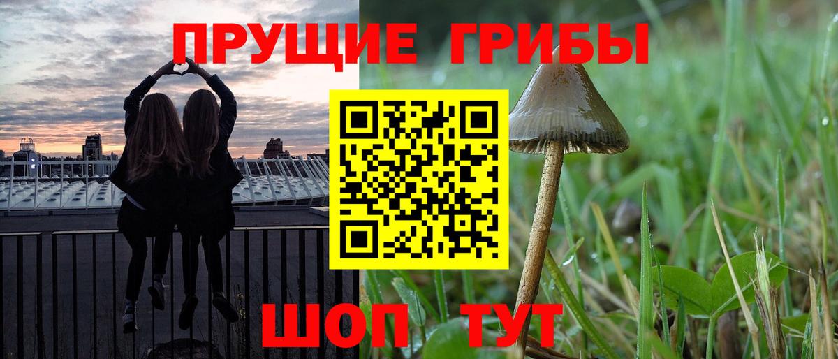 Галлюциногенные грибы Magic Shrooms Мурманск